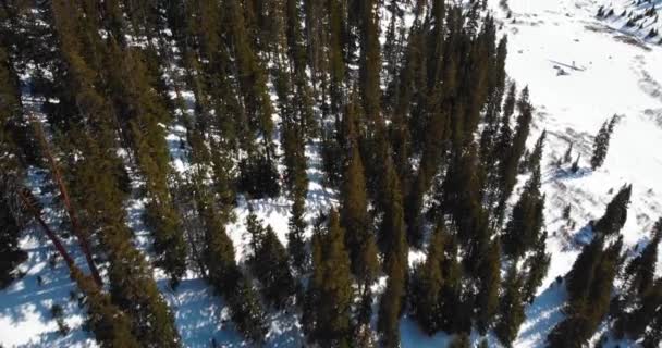 Une vue aérienne des beaux arbres dans la région du col de Loveland dans le Colorado .