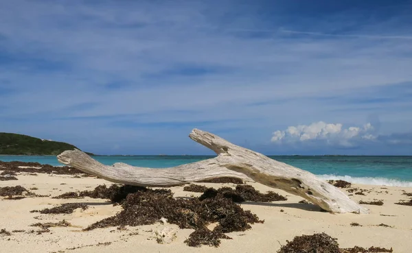 Stary Pniak Służy Jako Naturalna Ławka Plaży Portoryko — Zdjęcie stockowe