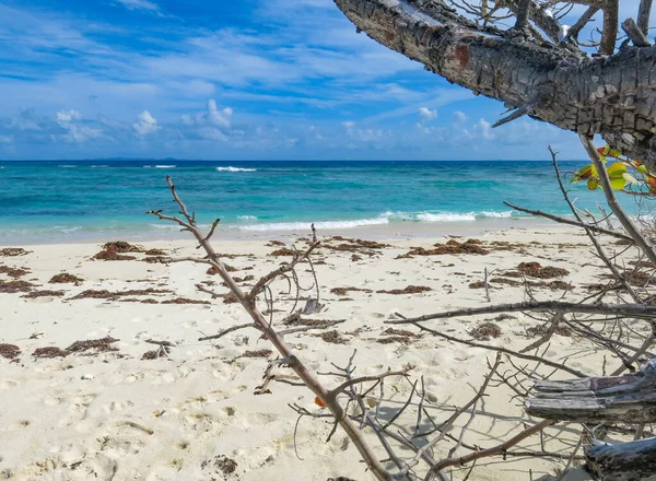 Una Vista Impresionante Una Playa Puerto Rico — Foto de Stock