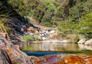 Ormanın eteklerinde sakin bir nehir yatağı..