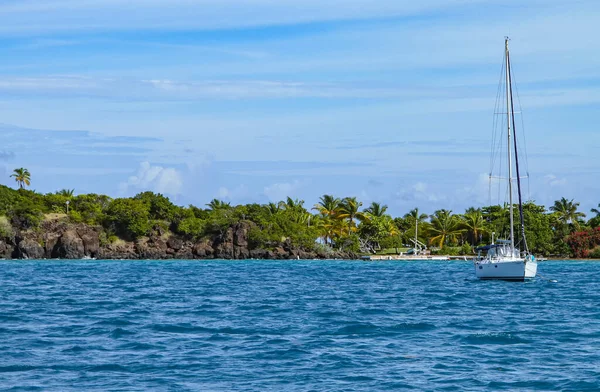 Petit Voilier Blanc Ancré Près Côte Une Île Portoricaine — Photo