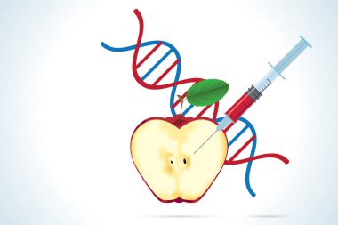 elma ve dna molekülü ile şırınga