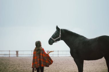 Ahırda atlı bir kız.