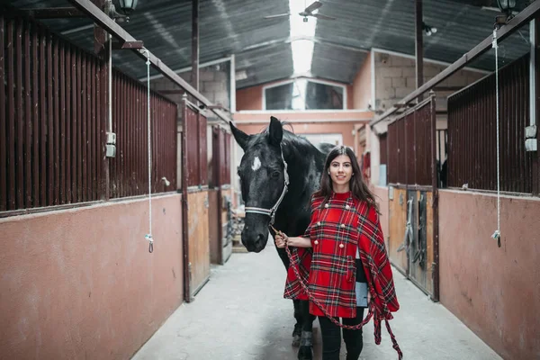 Menina Com Cavalo Nos Estábulos — Fotografia de Stock