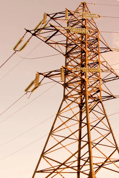 İzole kahverengi elektrik Kulesi