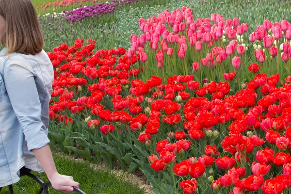 Ung flicka att göra selfie på tulip område — Stockfoto