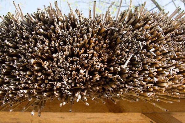 Ahşap arka plan, doğal kamışı reed