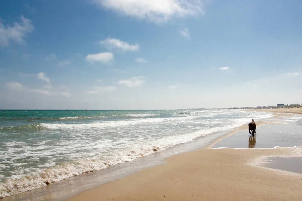 Gün süre ile mavi gökyüzü ve bulutlar deniz kenarında köpek yavrusu