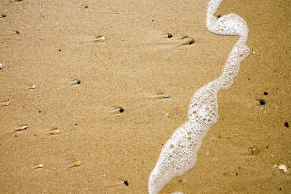 Backgorund with sea foam at yellow sand — Stock Photo, Image