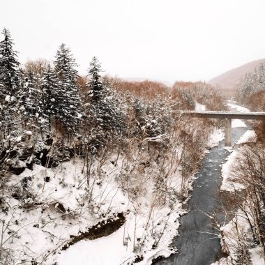 Karlı tepe üzerinde görüş