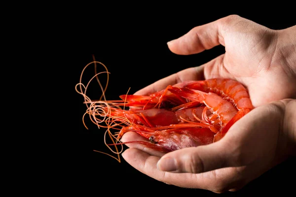 Hand holding prawn — Stock Photo, Image