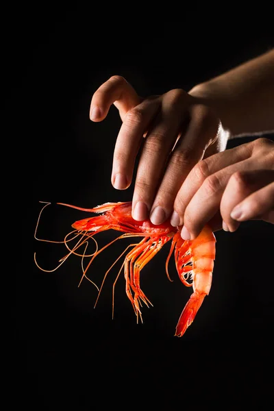 Hand holding prawn — Stock Photo, Image