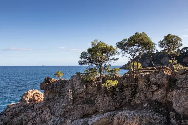 Cala el Golfet - Costa Brava