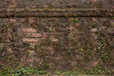 Eski yaşlı tuğla duvar doku