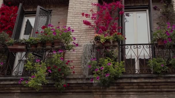 Европейское окно на здании с балконом, ставнями и цветочными горшками — стоковое видео