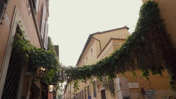 Grön murgröna lian överhängande mellan hus av gatan i historisk stad mot klar himmel på solig dag — Stockvideo