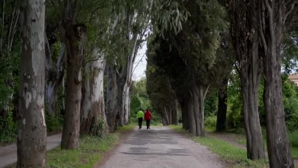 Man in light-green jacket and woman in red jackets walk along a forest alley. Rear view — Stock Video