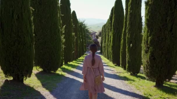 Girl with scythe in romantic beige dress walks along cypress alley on sunny day — Stok video