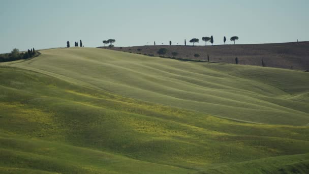 Amazing spring Tuscan landscape with green rolling hills, cypresses on sunny day — Stockvideo