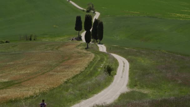 Detailní pohled na klikatou cestu s cypřiši do vily z filmu Gladiator — Stock video