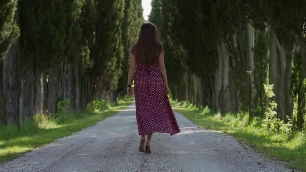 Brunette woman in long red romantic dress walks on pathway with cypresses alley — ストック動画