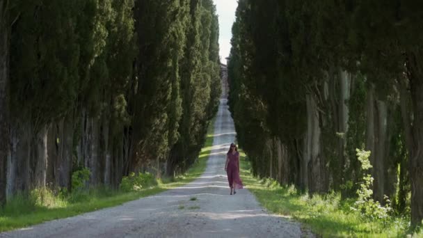 Brunette woman in long red romantic dress walks on pathway with cypresses trees — ストック動画