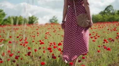 Close-up woman in long red polka-dot dress go on blooming poppy field. Sunny day