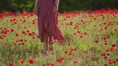 Pretty woman with watch in sunglasses, red dress walks on blooming poppy field