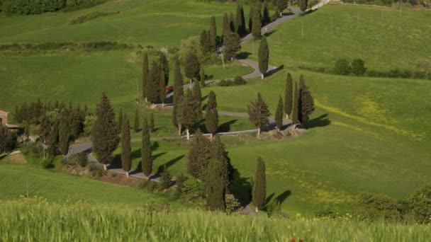 Red car drives down winding road past cypress trees in scenic Tuscan landscape — ストック動画