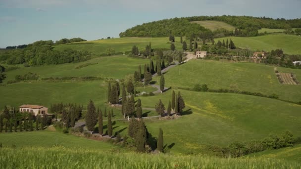 Malowniczy krajobraz toskański z krętą drogą i cyprysami w dolinie Orchi — Wideo stockowe