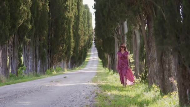 Stylish girl with sunglasses in red dress walks near cypress alley. Long shot — 图库视频影像