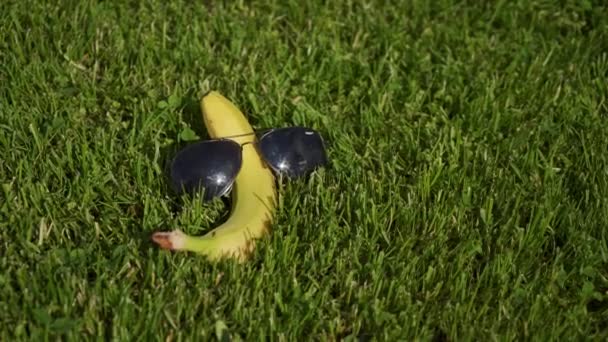 Gelbe Banane mit Sonnenbrille auf grünem Gras liegend wie ein Tourist in Großaufnahme — Stockvideo