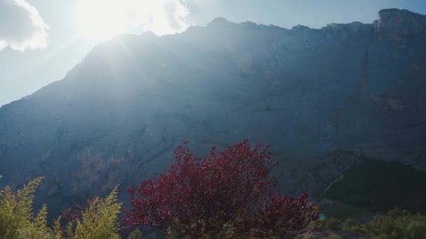 Albero con fogliame rosso cresce a valle della montagna nelle giornate soleggiate ventose. Italia, Europa — Video Stock