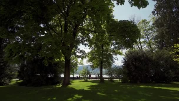 Landschappelijk uitzicht op de zonovergoten Tegernsee meeroever vanuit schaduwrijk park met groene bomen — Stockvideo