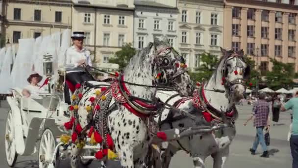 КРАКОВ, ПОЛАНДИЯ - 30 мая 2019 года: Люди, катающиеся на лошадиной карете Рыночная площадь . — стоковое видео