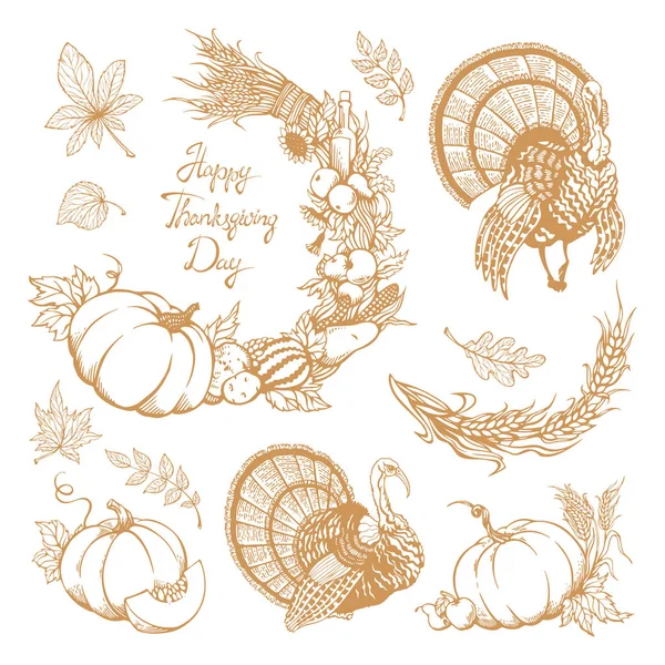 Set of hand-drawn elements for Thanksgiving Day. — Stock Vector