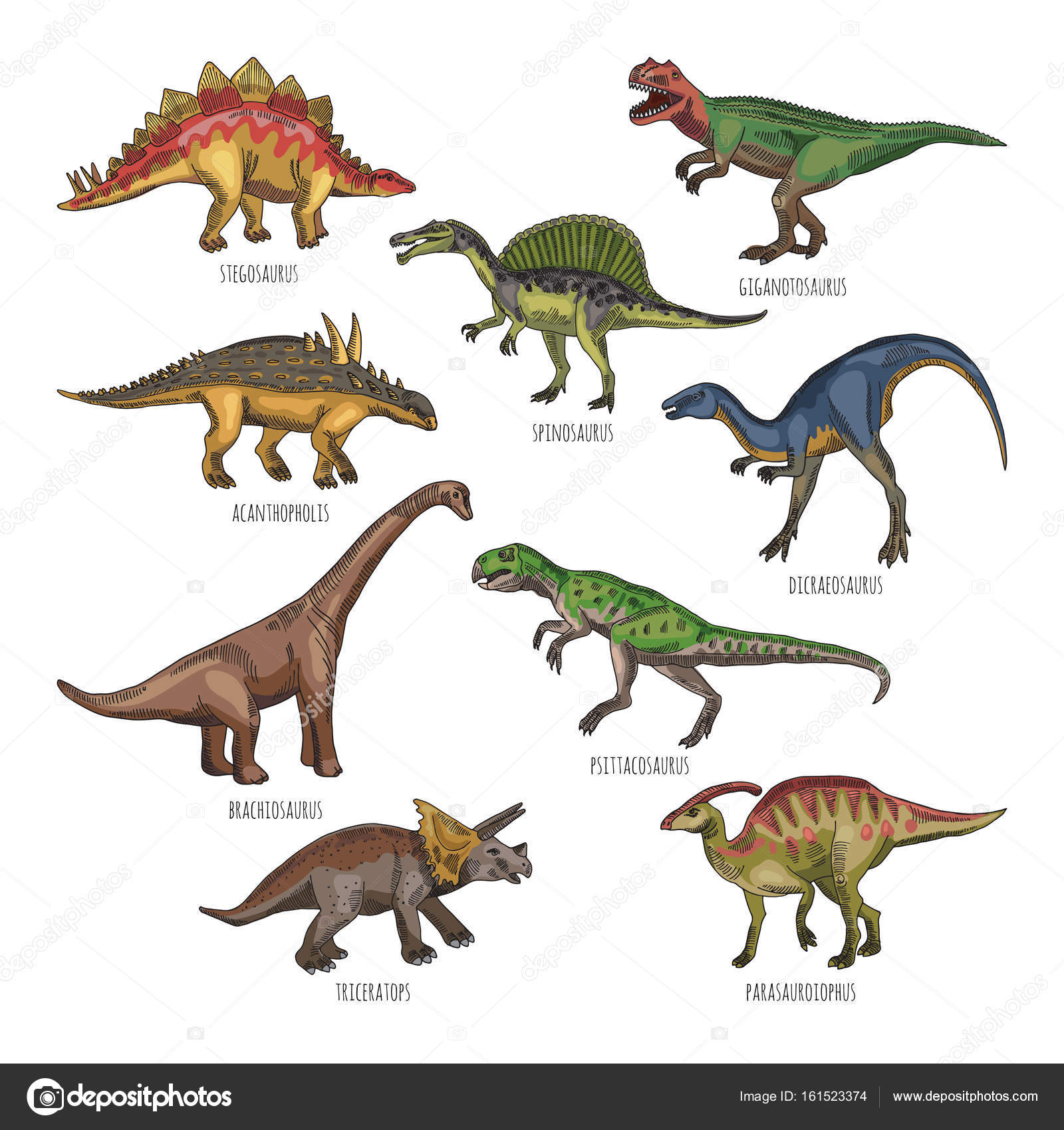 Farbige Abbildungen der verschiedenen DinosaurierArten 