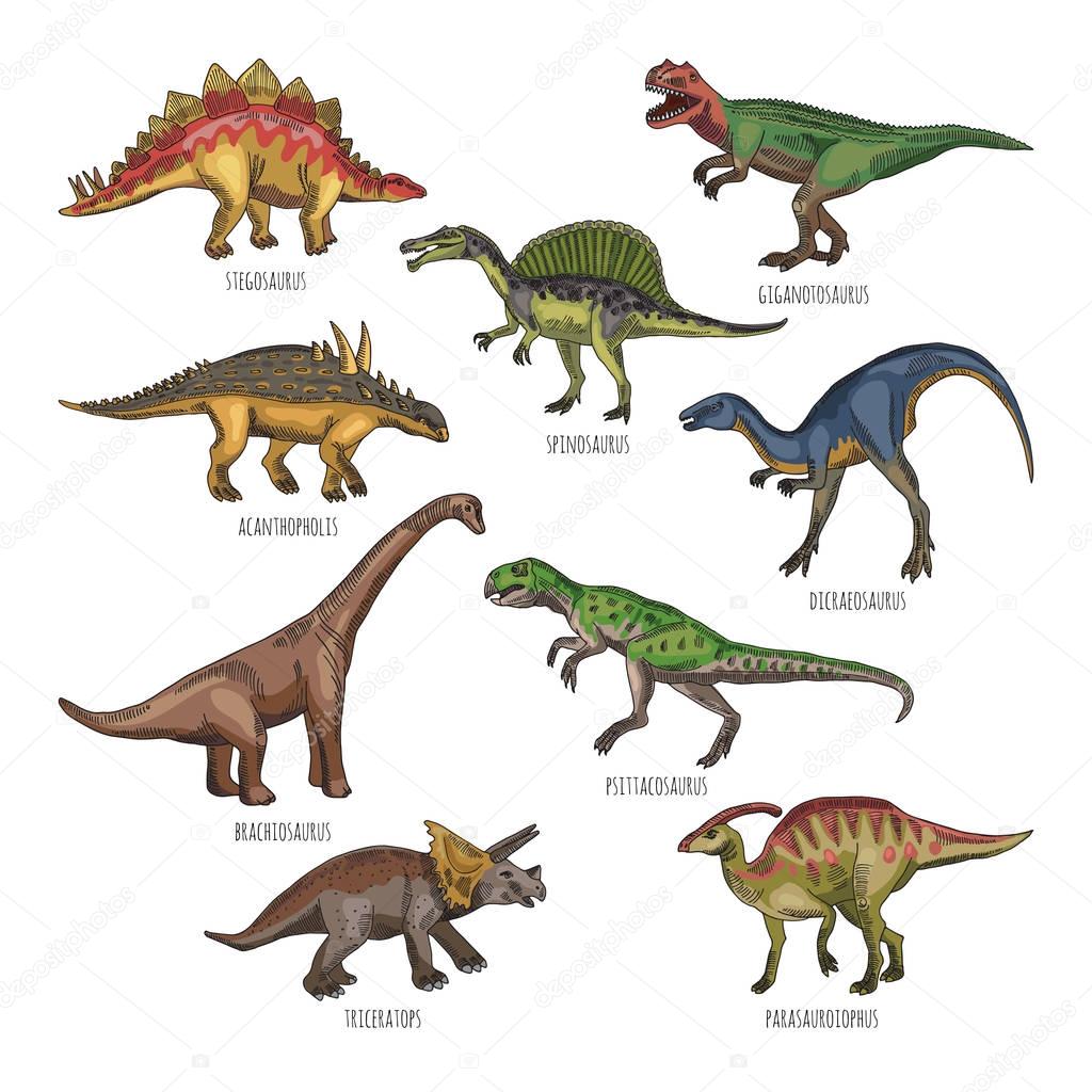 Farbige Abbildungen der verschiedenen DinosaurierArten. Tyrannosaurus