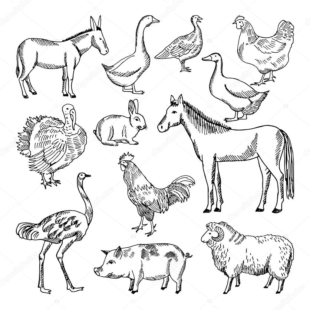 Farm animals set in hand drawn style. Vector illustrations — Stock