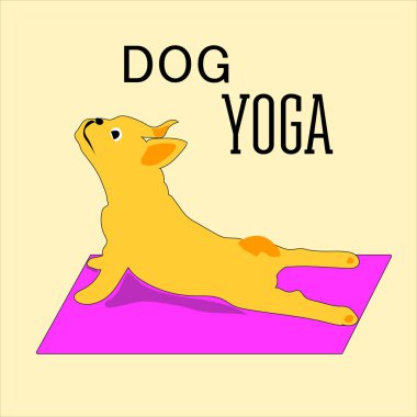 Vektör el boyaması yoga duruş karikatür hayvanlar ile