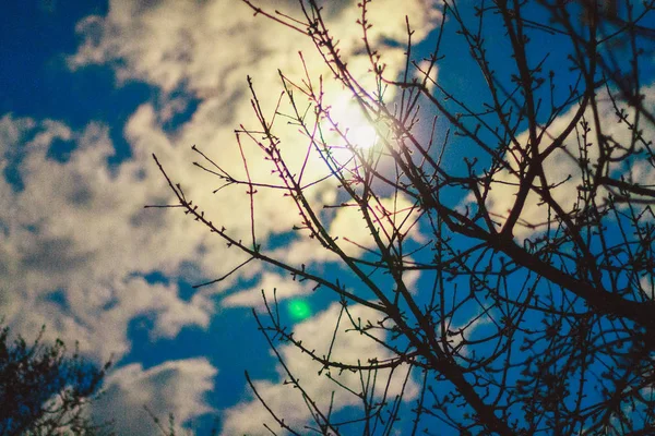 Monthly evening sky — Stock Photo, Image