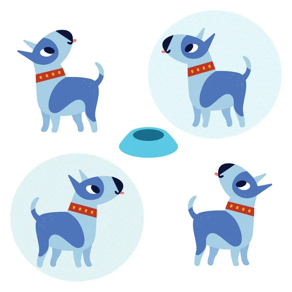 Şirin boğa korkunç köpek beyaz arka plan