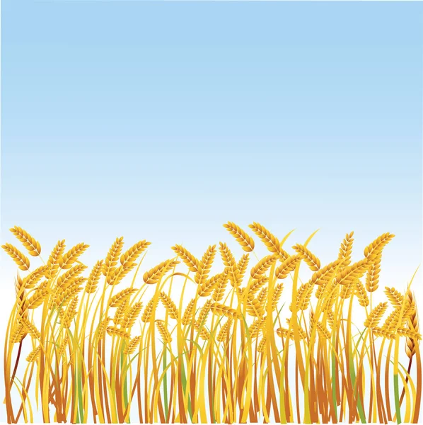 Gerçekçi dikenli bir alanı gösteren resim