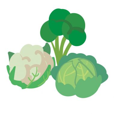 Üç çeşit beyaz izole lahana