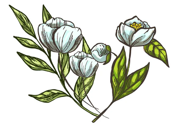 Реалістичні квіти і листя намальовані вручну. Барвиста ілюстрація вінтажного стилю . — стоковий вектор