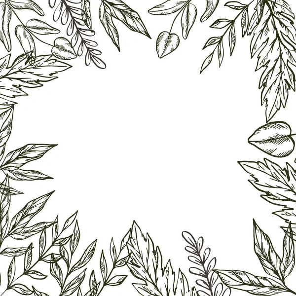 Handgezeichneter Rahmen aus Blättern und Pflanzen. Vektorillustration — Stockvektor