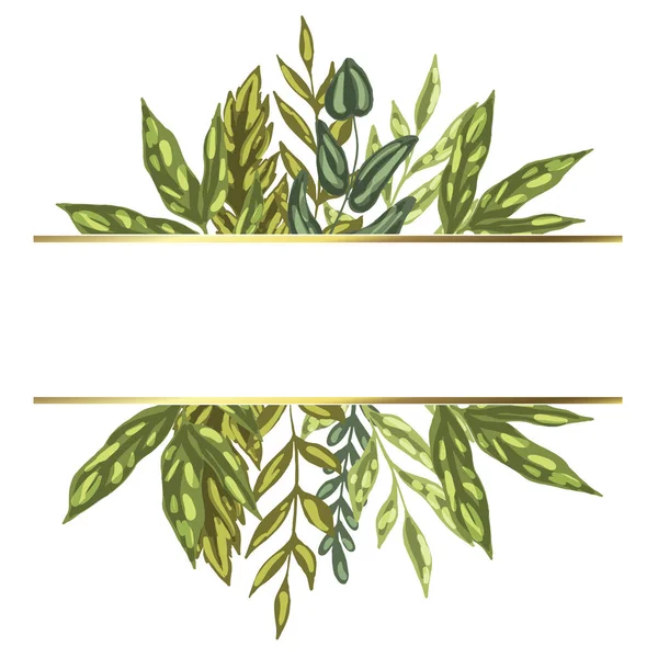 装饰名片，上面有详细的绿叶植物。白色背景上的孤立。为您设计和刻字的准备模板。矢量图 — 图库矢量图片