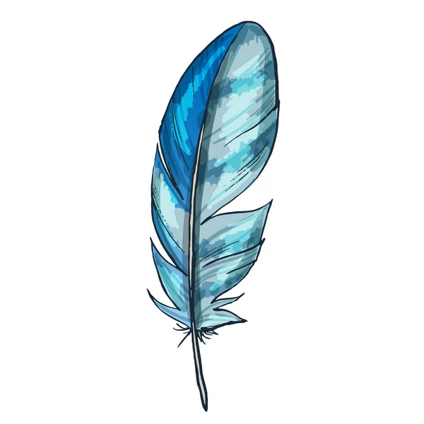 Plume d'oiseau bleu détaillé coloré, isolé sur fond blanc, Illustration vectorielle . — Image vectorielle