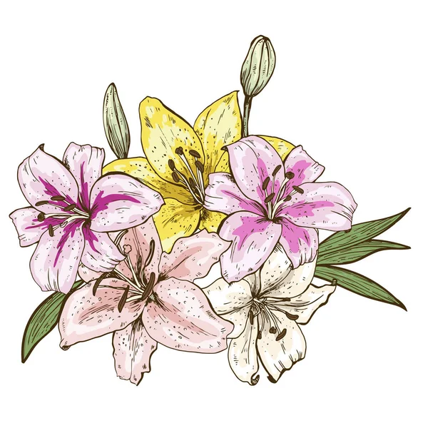 Bukiet pięciu colorfull lily kwiaty ręcznie rysowane na białym tle na białym tle. Ilustracja wektorowa. — Wektor stockowy
