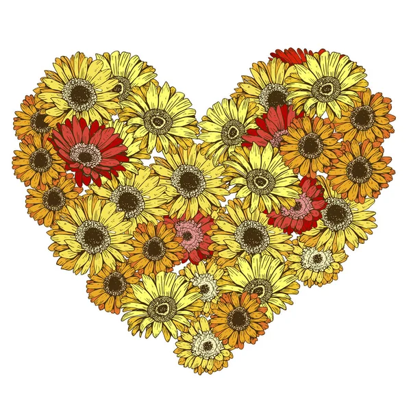 Beyaz arka plan üzerinde izole kalp kırmızı ve sarı papatyalar çiçek. Vektör çizim.